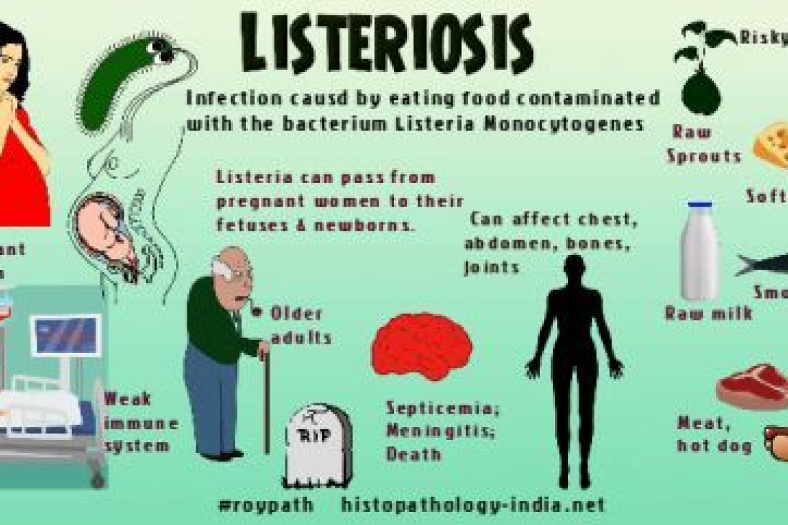 Листериоз (Listeria). Листерия и беременность.