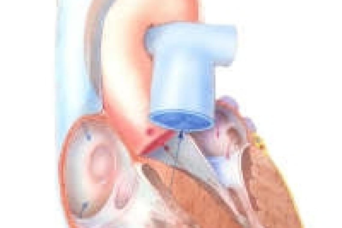 Физиологические изменения системы кровообращения во время беременности и в послеродовом периоде